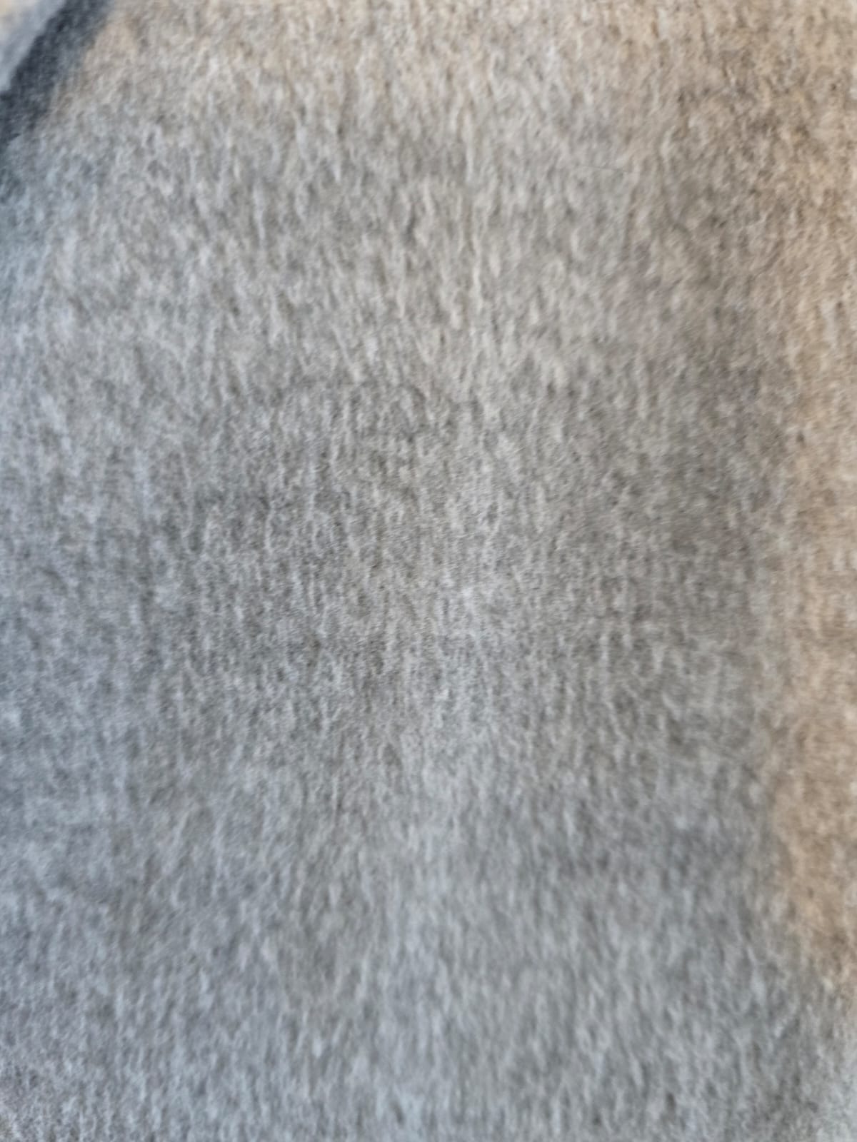 detalle